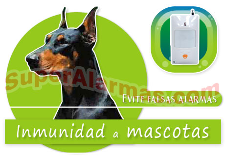 Gracias a su tecnología no le mandará falsas alarmas por el movimiento de sus mascotas