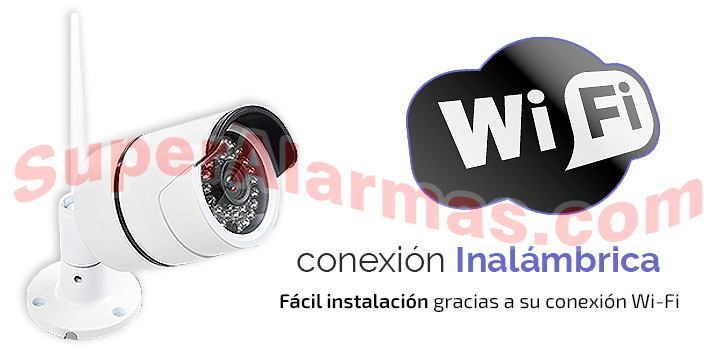 Cámara IP de exterior con conexión Wifi a Internet.